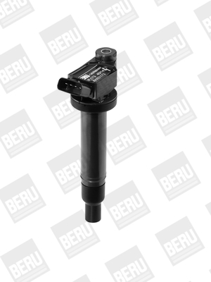 Picture of Ignition Coil - BorgWarner (BERU) - ZSE173