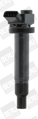 Picture of Ignition Coil - BorgWarner (BERU) - ZSE173