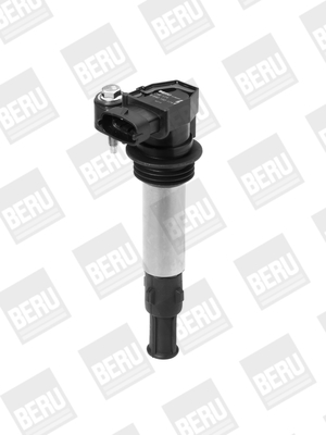 Picture of Ignition Coil - BorgWarner (BERU) - ZSE174