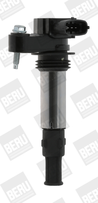 Picture of Ignition Coil - BorgWarner (BERU) - ZSE174
