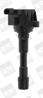 Picture of Ignition Coil - BorgWarner (BERU) - ZSE176