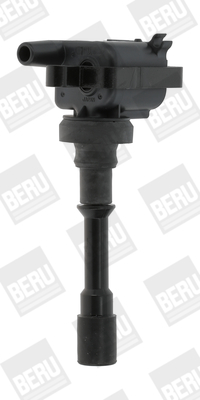 Picture of Ignition Coil - BorgWarner (BERU) - ZSE178