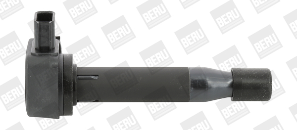 Picture of Ignition Coil - BorgWarner (BERU) - ZSE183