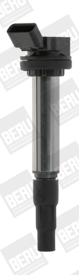 Picture of Ignition Coil - BorgWarner (BERU) - ZSE184