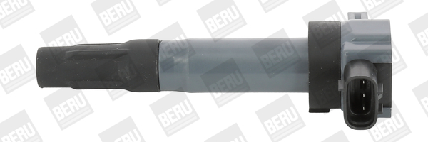 Picture of Ignition Coil - BorgWarner (BERU) - ZSE189