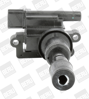 Picture of Ignition Coil - BorgWarner (BERU) - ZSE193