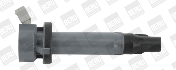 Picture of Ignition Coil - BorgWarner (BERU) - ZSE194