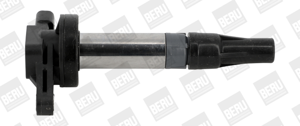 Picture of Ignition Coil - BorgWarner (BERU) - ZSE196