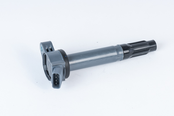 Picture of Ignition Coil - BorgWarner (BERU) - ZSE202
