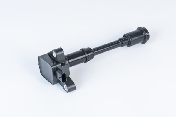 Picture of Ignition Coil - BorgWarner (BERU) - ZSE203