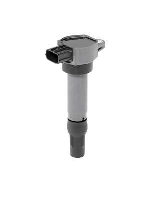 Picture of Ignition Coil - BorgWarner (BERU) - ZSE206