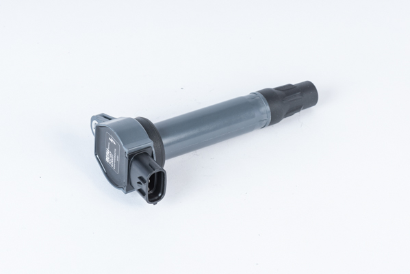 Picture of Ignition Coil - BorgWarner (BERU) - ZSE207