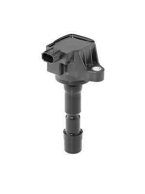 Picture of Ignition Coil - BorgWarner (BERU) - ZSE210