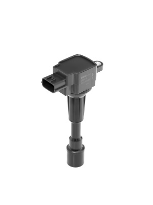 Picture of Ignition Coil - BorgWarner (BERU) - ZSE216
