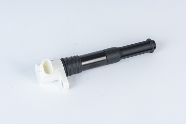 Picture of Ignition Coil - BorgWarner (BERU) - ZSE219