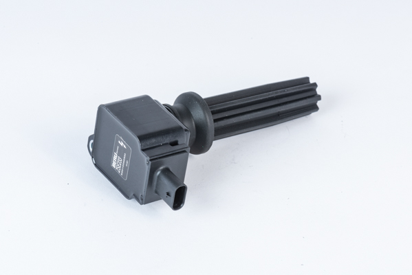 Picture of Ignition Coil - BorgWarner (BERU) - ZSE233