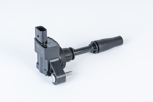 Picture of Ignition Coil - BorgWarner (BERU) - ZSE234