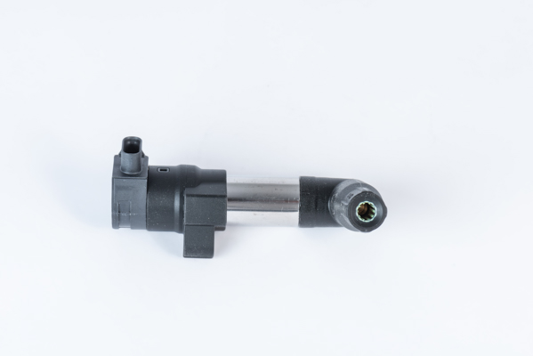 Picture of Ignition Coil - BorgWarner (BERU) - ZSE253