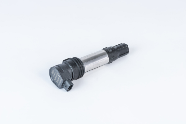 Picture of Ignition Coil - BorgWarner (BERU) - ZSE256