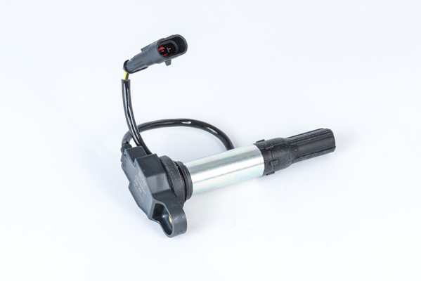 Picture of Ignition Coil - BorgWarner (BERU) - ZSE258