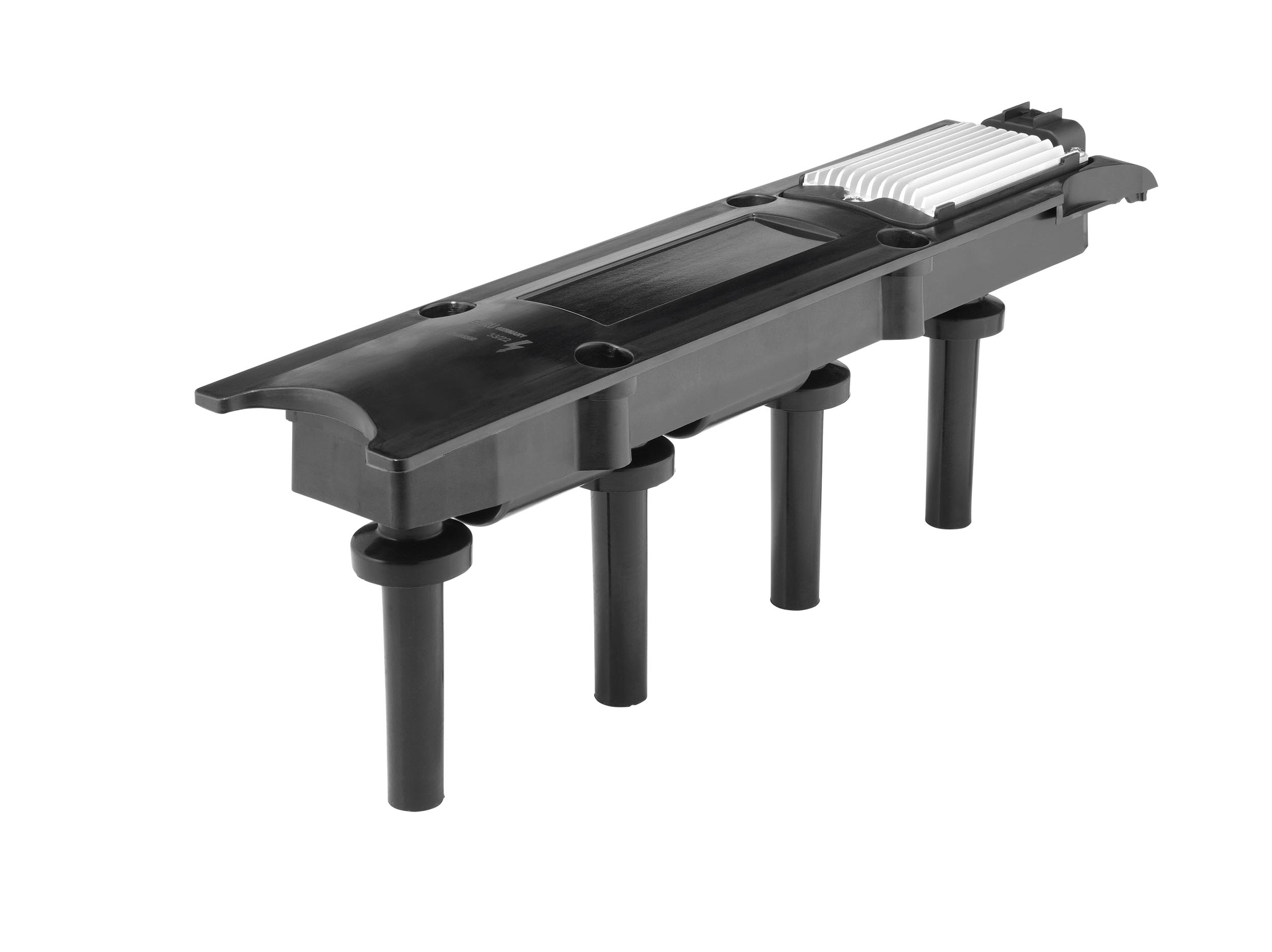 Picture of Ignition Coil - BorgWarner (BERU) - ZSE281