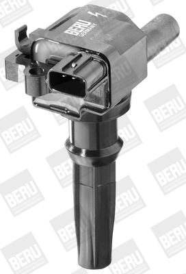 Picture of Ignition Coil - BorgWarner (BERU) - ZSE502