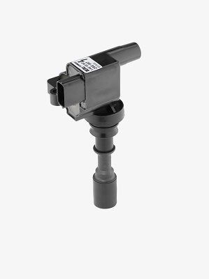 Picture of Ignition Coil - BorgWarner (BERU) - ZSE087