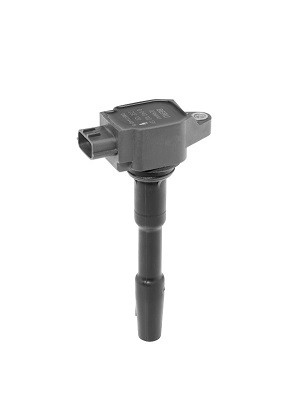 Picture of Ignition Coil - BorgWarner (BERU) - ZSE131