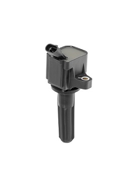 Picture of Ignition Coil - BorgWarner (BERU) - ZSE133