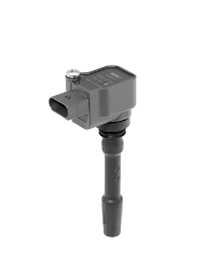 Picture of Ignition Coil - BorgWarner (BERU) - ZSE163