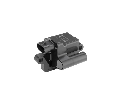 Picture of Ignition Coil - BorgWarner (BERU) - ZSE177