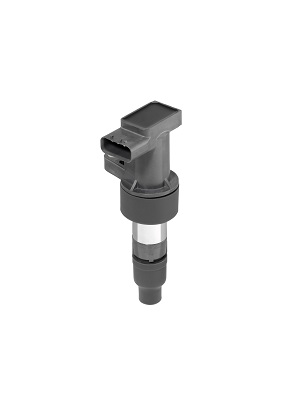 Picture of Ignition Coil - BorgWarner (BERU) - ZSE205