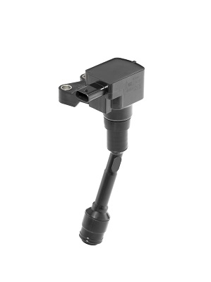 Picture of Ignition Coil - BorgWarner (BERU) - ZSE215