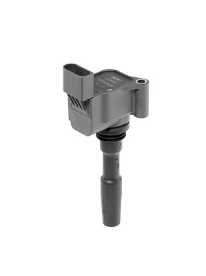 Picture of Ignition Coil - BorgWarner (BERU) - ZSE223