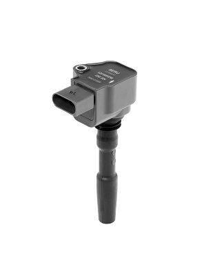 Picture of Ignition Coil - BorgWarner (BERU) - ZSE224