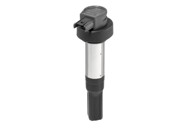 Picture of Ignition Coil - BorgWarner (BERU) - ZSE227