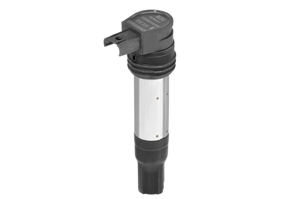 Picture of Ignition Coil - BorgWarner (BERU) - ZSE229