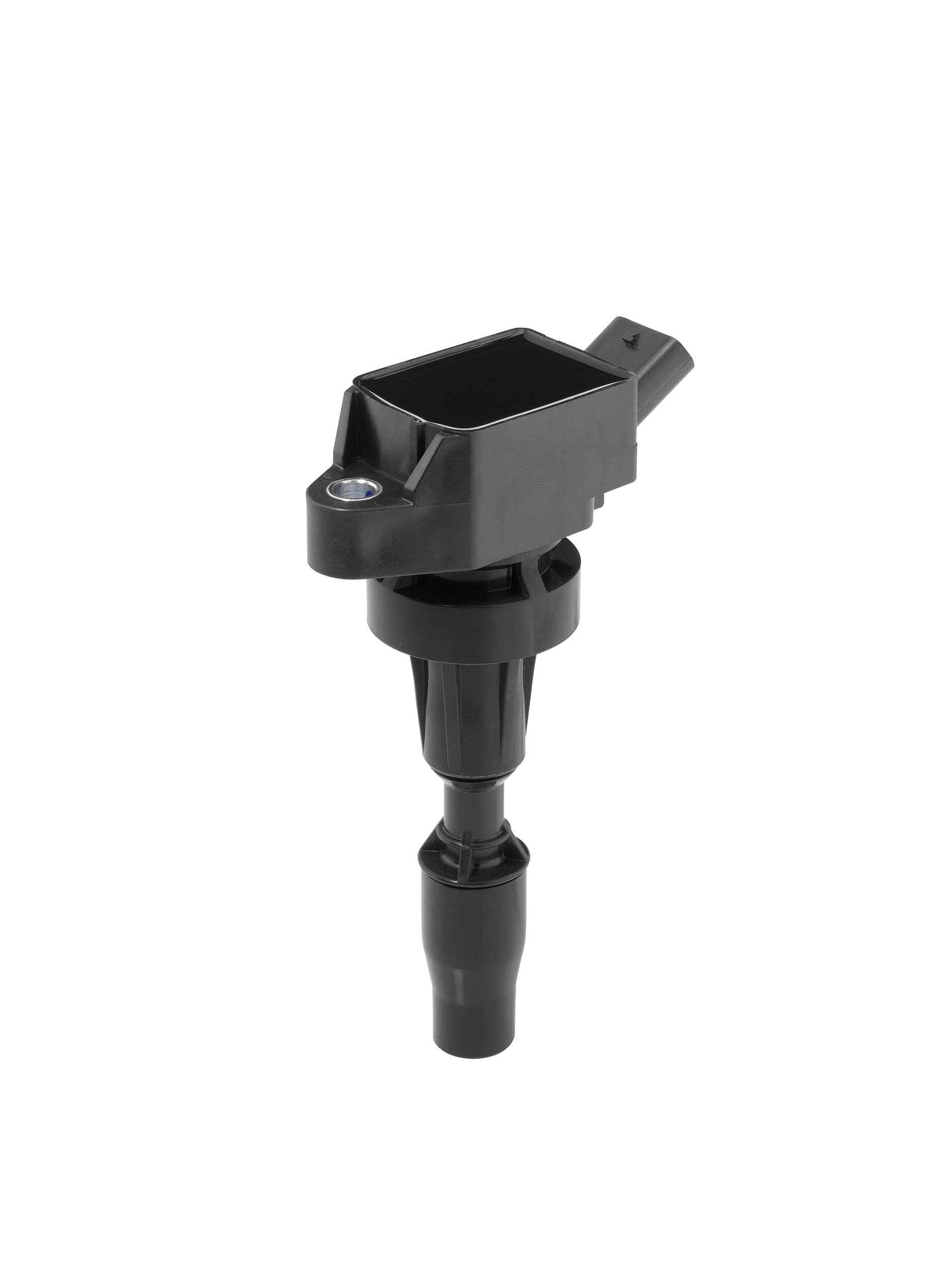 Picture of Ignition Coil - BorgWarner (BERU) - ZSE301