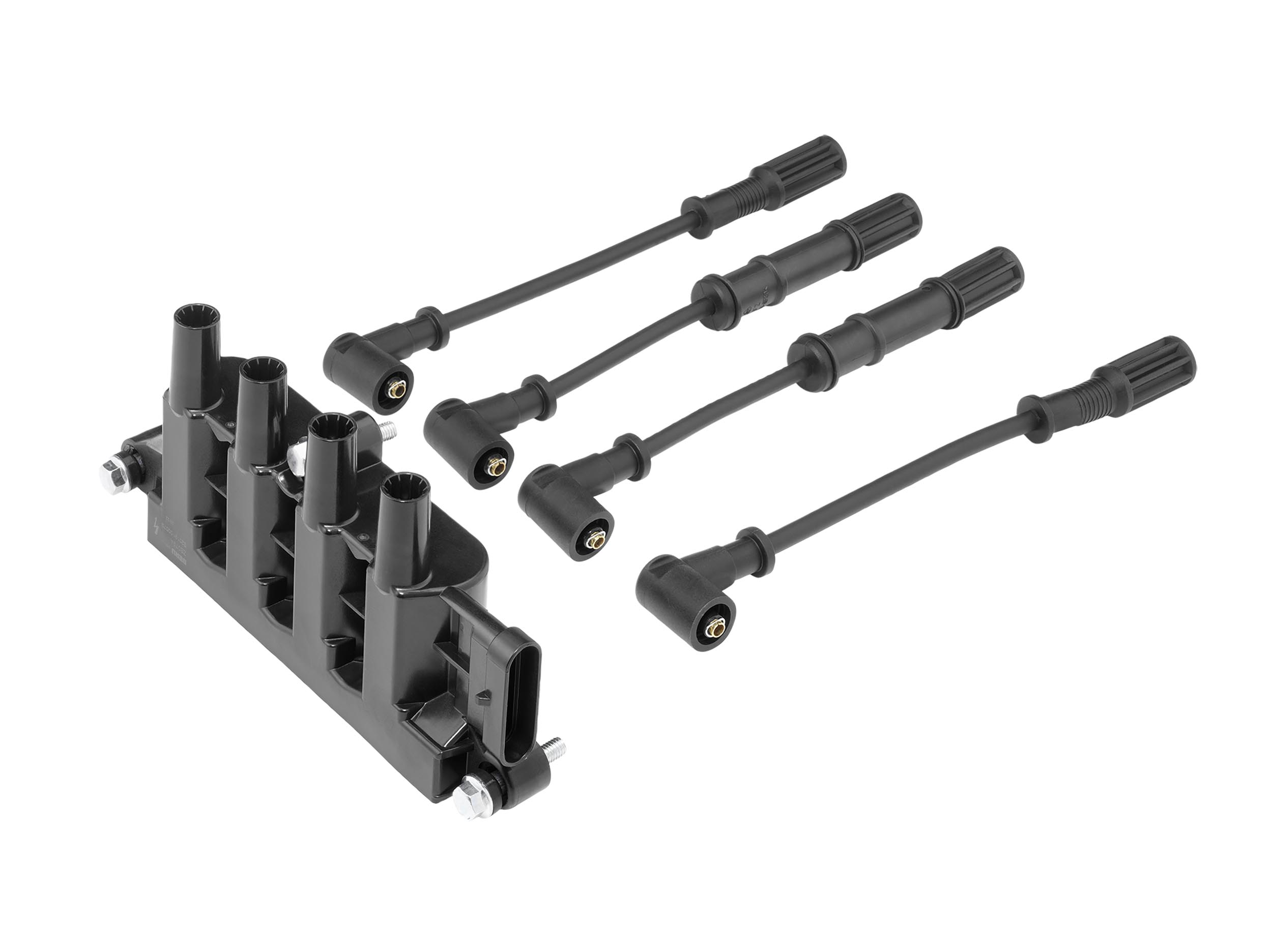 Picture of Ignition Coil - BorgWarner (BERU) - ZS079A
