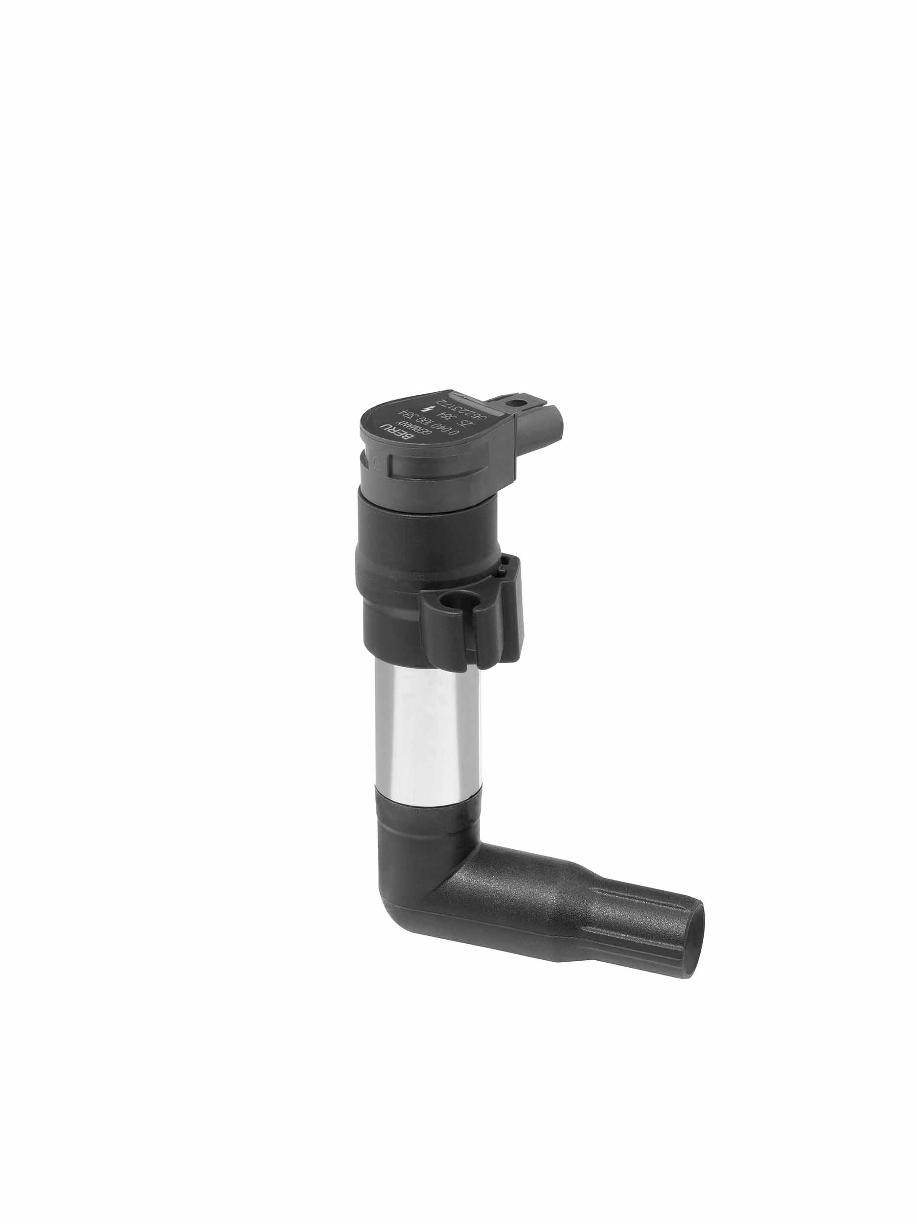 Picture of Ignition Coil - BorgWarner (BERU) - ZS384