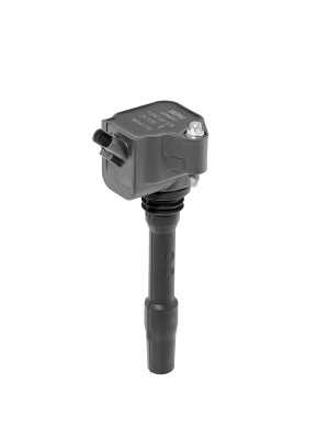 Picture of Ignition Coil - BorgWarner (BERU) - ZS538