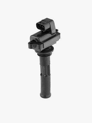 Picture of Ignition Coil - BorgWarner (BERU) - ZS549