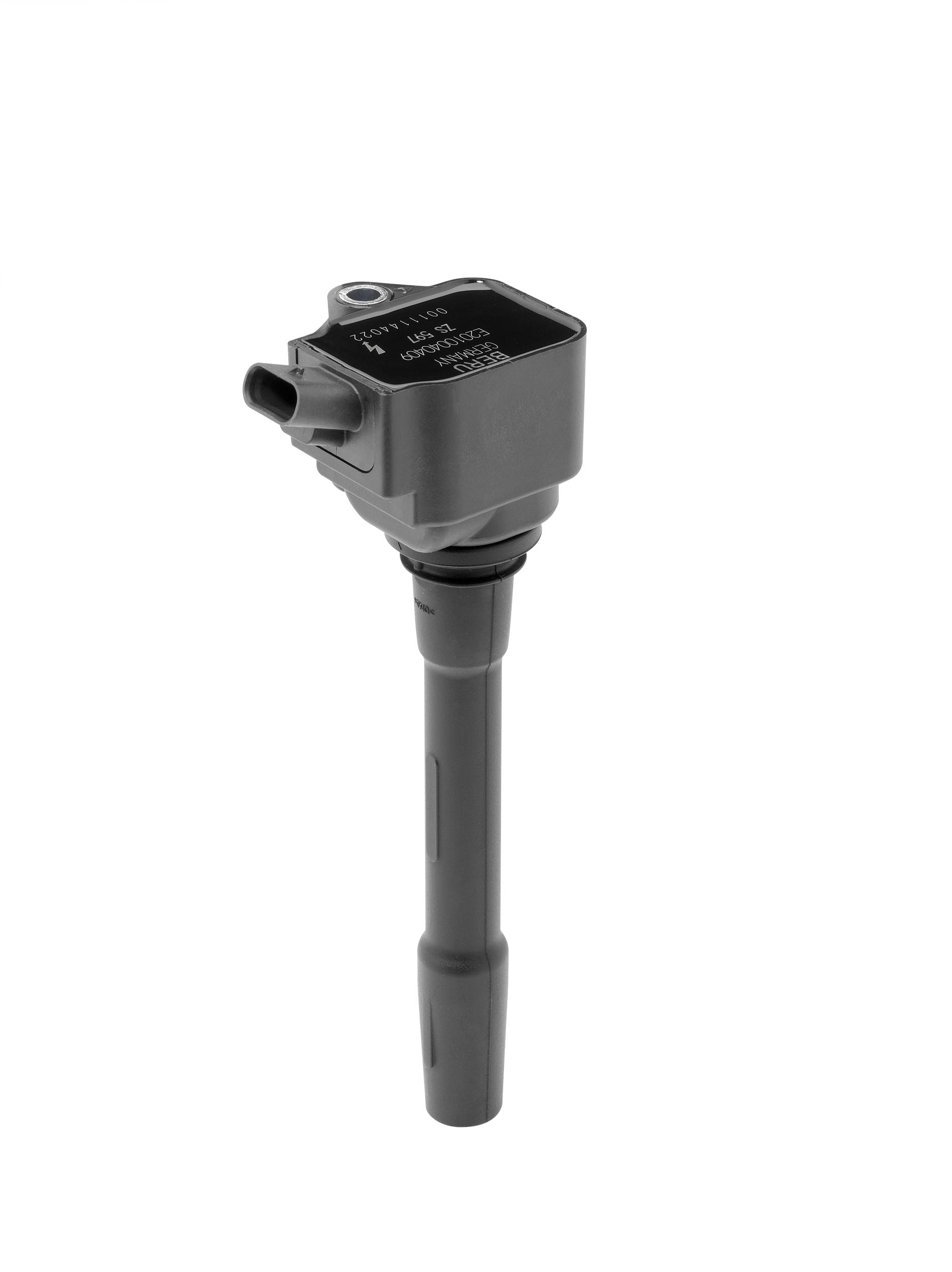 Picture of BorgWarner (BERU) - ZS597