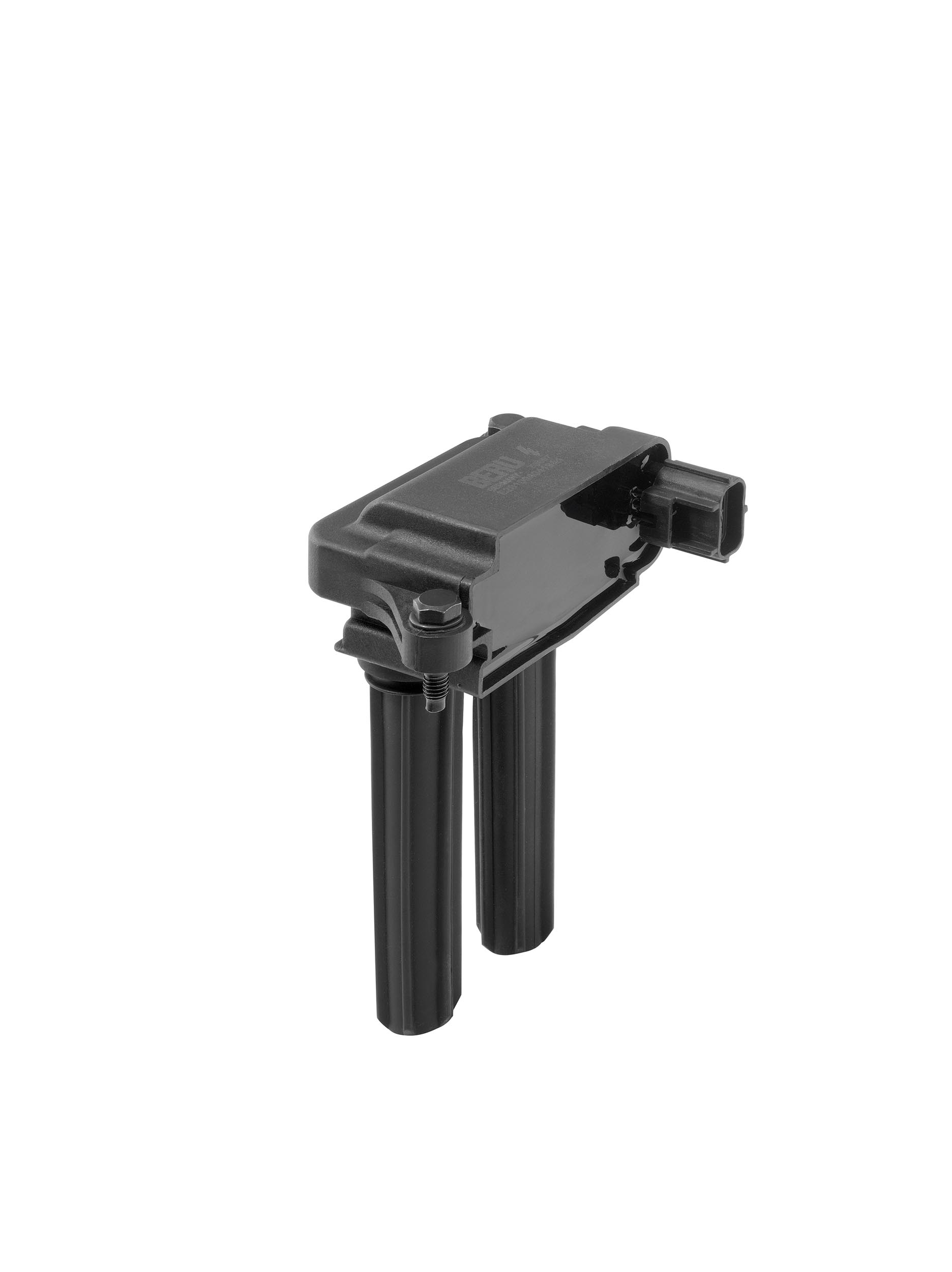 Picture of Ignition Coil - BorgWarner (BERU) - ZS607