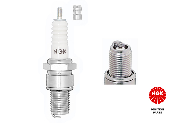 Picture of Spark Plug - NGK - 6410