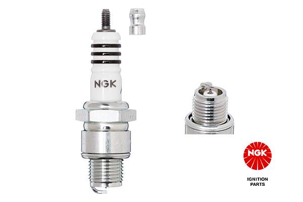 Picture of Spark Plug - NGK - 3419