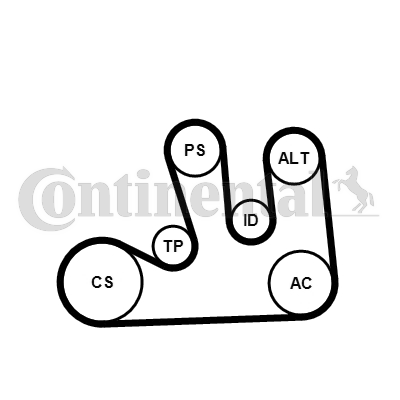 PK KAIŠ - SET ZA ZAMENU - CONTINENTAL CTAM - 5PK1750K1