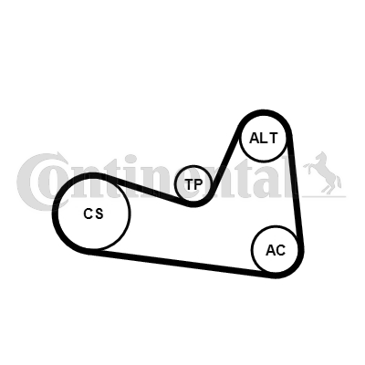 PK KAIŠ - SET ZA ZAMENU - CONTINENTAL CTAM - 6PK1200K1