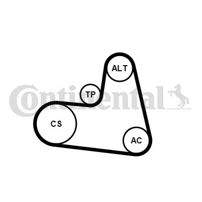 PK KAIŠ - CONTINENTAL CTAM - 6PK1217K1