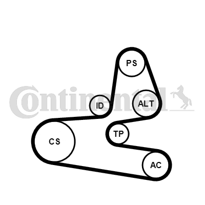 PK KAIŠ - SET ZA ZAMENU - CONTINENTAL CTAM - 6PK1564K1